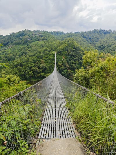 A long suspension bridge made of metal grates stretches into the distance, flanked by dense green foliage and a cloudy sky. The bridge is centered in the frame, leading the viewer's eye towards a lush, tree-covered hillside dotted with small buildings. The hillside extends to the horizon, where it meets the overcast sky. The foreground shows the beginning of the bridge, with a chain-link fence on either side and tall grass growing alongside. The scene appears to be located in Rupakot, Nepal.