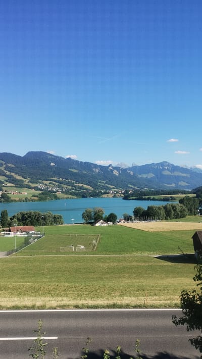 This is a landscape photograph taken in Pont-en-Ogoz, Switzerland, likely on a bright, sunny day. The image is oriented vertically.

The scene depicts a serene lakeside view with a backdrop of rolling, tree-covered hills and distant mountains under a clear blue sky with a few wispy clouds. A vibrant turquoise lake dominates the middle ground, dotted with a few small boats. Along the lake's edge, nestled amongst the trees, are scattered houses and buildings, suggesting a small village or settlement.

To the right of the lake, a strip of lush green grass stretches alongside a paved road. A sports field, possibly for soccer, with white markings and goals, is visible within this grassy area. Several trees are scattered across the landscape, casting shadows and adding to the natural beauty of the scene. On the far right of the image, a portion of a road with white lane markings is clearly visible, with some foliage encroaching from the side. The overall atmosphere is peaceful and idyllic, indicative of a summer day in a scenic European location. There is no visible text in the image.