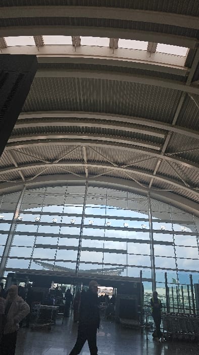 The image displays the interior of an airport terminal located in Dar El Beïda, Algeria. The scene is dominated by a high, arched ceiling constructed from corrugated metal panels, supported by white structural trusses and beams. Rectangular skylights are visible along the upper curve of the ceiling. A large, curved glass curtain wall forms the exterior boundary, presenting a view of an overcast sky and reflections. The floor is dark and reflective.
Several individuals are present. In the midground, a person wearing a dark jacket and a cap is walking towards the right. To the left, a person in a light-colored jacket is partially visible. On the right, an individual wearing a high-visibility vest stands next to a stack of metal luggage trolleys. Additional blurred figures are discernible further in the background, indicating other people within the terminal space. Through the glass wall, an exterior building with a distinctive angular roofline is visible. A dark, vertical structural element is prominent on the far left of the frame.