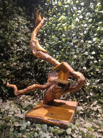 This image features a wooden sculpture of two birds perched on a branch, with a miniature birdhouse attached. The sculpture is set against a backdrop of lush green foliage, likely artificial. The birds and branch are carved from wood and appear to have a smooth, polished finish. The birdhouse is also made of wood, with a simple, gabled roof. The sculpture is mounted on a square wooden base, which sits on a bed of more green foliage. The lighting in the image creates a warm glow, highlighting the texture and details of the wood. The overall scene evokes a sense of nature and craftsmanship. There is no visible text in the image. The location context is Kurnool, India.