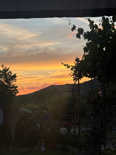 The image captures a twilight scene in Srednia, Bulgaria, characterized by a vibrant sunset over a mountainous landscape. The sky is a gradient of orange, yellow, and pale blue, with streaks of pinkish clouds. In the foreground, a garden is visible with lush greenery, including rose bushes with pink flowers, and leafy trees. A white stork-like statue stands on the grass. To the left, a small shed or outbuilding is partially visible. A dark, textured band runs along the top of the image, possibly indicating an overhang or frame. The overall atmosphere is serene and natural.