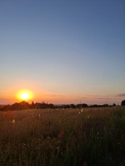 The image depicts a sunset over a field of wild grasses and flowers, with a silhouetted treeline in the background. The sky transitions from a clear, pale blue at the top to shades of orange and pink near the horizon. The sun, a bright orb, is visible on the left side of the frame, casting a warm glow. A faint, pale circle, possibly the moon, is visible in the upper right portion of the sky. The field in the foreground is dense with vegetation, featuring a mix of tall grasses and smaller wildflowers, some of which appear to be illuminated by the setting sun. The overall impression is of a tranquil, natural landscape at dusk. No people or animals are visible in the scene. The location is specified as Tsibanobalka, Russia.