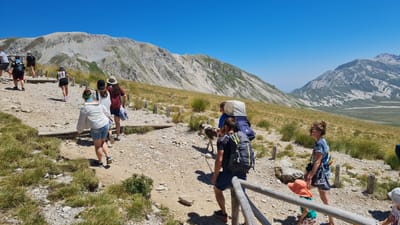 This image depicts a group of people and a dog hiking on a mountain path under a clear blue sky. The path is made of gravel and stones, with some grassy areas and wooden posts lining the sides. In the background, there are rolling hills and large mountains with rocky slopes.

There are several individuals visible, most of whom appear to be walking uphill. One person in the foreground is wearing a white jacket and denim shorts, with a colorful bandana on their head. To their right, a woman in a blue patterned top and shorts is walking with sunglasses on. A child in an orange hat and green shirt is walking ahead of her. To the left of the woman in white, there are two people walking together, one in a dark shirt and shorts with a backpack, and another in a blue shirt carrying a large pack. A dog with brown and white markings is walking alongside them. Further up the path, several other people are visible, some with backpacks.

The environment suggests a mountainous, rural location, possibly a national park or hiking trail. The presence of wooden posts and constructed path elements indicates a maintained hiking route. The bright sunlight and clear sky suggest a warm, summer day. While the specific location in L'Aquila, Italy, is not explicitly shown, the landscape is consistent with the mountainous terrain found in the Abruzzo region surrounding L'Aquila, known for its national parks and outdoor recreational activities.