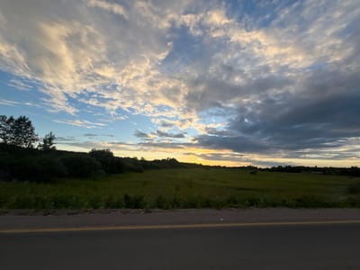 A wide-angle landscape shot captures a rural scene at dusk in Berkuty, Russia. The foreground is dominated by a dark asphalt road with a single yellow line running horizontally across it. Beyond the road lies a vast, green field, dotted with shorter vegetation and some taller weeds along its edge. In the distance, a dense line of dark green trees forms a natural border, with some scattered trees rising above the treeline.
The sky above is a dramatic canvas of clouds illuminated by the setting sun. Wispy, light-colored clouds streak across a backdrop of deeper blue, catching the warm, golden hues of the sunset. Darker, more ominous clouds gather in the upper right portion of the frame, creating a sense of depth and contrast. The light suggests it is late evening, as the sun is low on the horizon, casting a soft glow over the landscape. The overall mood is peaceful and serene, with a touch of natural grandeur. There is no visible text in the image.