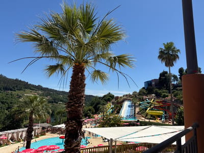 This image depicts a sunny day at a water park, likely in the vicinity of Amarante, Portugal, given the presence of lush green hills and a body of water in the background. Dominating the foreground is a large palm tree with a textured, brown trunk and long, green fronds. To the left, a swimming pool with bright blue water is visible, surrounded by lounge chairs and white cabanas with pink accents. Numerous people are scattered around the pool area, some swimming, others relaxing.
In the mid-ground, a collection of colorful water slides are set against a hillside. The slides vary in color, including blue, yellow, and red, with some featuring enclosed tubes. People are seen queuing at the top of the slides and riding down them. The water park is nestled within a verdant, hilly landscape, with trees and some scattered buildings visible on the slopes. The sky is a clear, vibrant blue, indicating good weather. A wooden railing in the lower right corner suggests the viewpoint is from a higher vantage point, possibly a balcony or viewing deck.