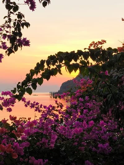 The image depicts a serene sunset scene over a body of water, framed by vibrant purple and pink bougainvillea flowers. The sky is painted with warm hues of orange and yellow, transitioning to a soft pink near the horizon. In the distance, a silhouetted mountainous landscape rises from the water, with a pier or dock structure visible. A small, yellow boat is present on the water, suggesting a peaceful, tranquil atmosphere. The foreground is dominated by the lush foliage and colorful blossoms of bougainvillea, creating a natural, organic frame for the scenic view. This location is likely a viewpoint in Labuan Bajo, Indonesia, known for its stunning natural beauty and coastal landscapes, especially during sunset.