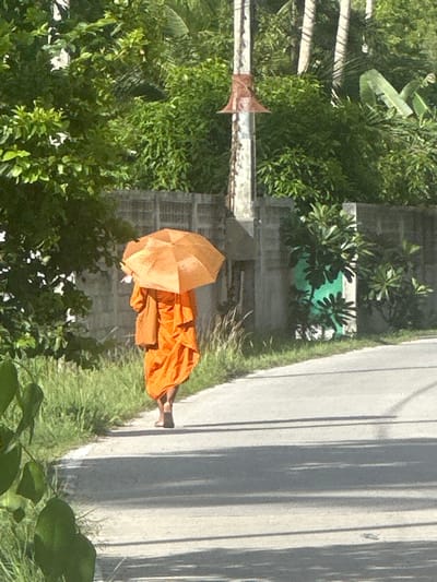 A monk wearing orange robes and carrying a light orange umbrella walks barefoot along the edge of a paved road. Lush green foliage is abundant on either side of the road. A utility pole and various plants are visible in the background. The location is Moo 4, Thailand.