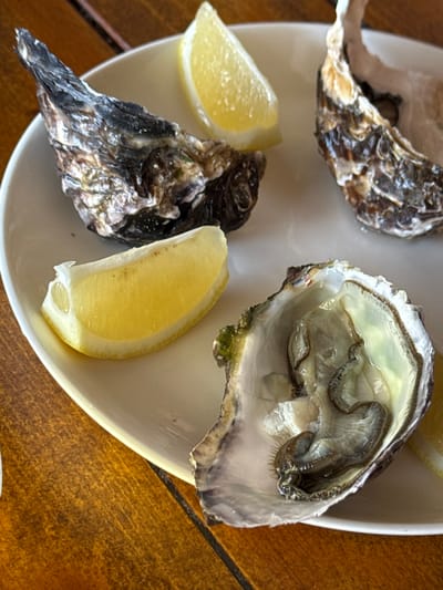 The image shows a white plate with three oysters and two lemon wedges on a wooden surface. The oysters are served in their shells, with one oyster appearing to be whole and opened, revealing the meat inside. Another oyster is whole and closed, its shell dark and rough. A third oyster is partially visible and appears to be a shell fragment. The lemon wedges are bright yellow and appear fresh. The wooden surface is a table with a visible wood grain pattern. There is no indication of the city of Donji Orahovac, Montenegro within the image itself.
