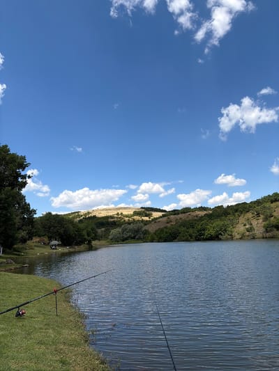 The image depicts a tranquil scene at a lake located in the vicinity of Sarnitsa, Bulgaria. Two fishing rods are set up on the grassy shore, one in the foreground with a red reel and another extending further into the water. The lake's surface is calm, reflecting the bright blue sky dotted with fluffy white clouds. The shore is lined with lush green grass and trees, with a gentle, tree-covered slope rising in the background. In the middle ground, a large umbrella provides shade for a few individuals who appear to be relaxing by the water. The overall environment suggests a peaceful outdoor recreational setting.