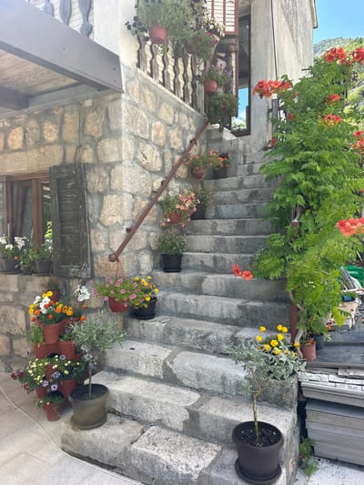 This media file captures a charming, outdoor scene in what appears to be a historic European village, possibly Rijeka Crnojevića, Montenegro. The primary subject is a stone staircase leading up the side of a rustic stone building adorned with numerous potted plants.
The scene is filled with vibrant flowers in various colors, including orange, yellow, pink, purple, and white, spilling out of terracotta pots. Some of the plants are hanging, while others are placed on the steps or along the wall. A large, green leafy vine with bright orange flowers cascades from above, framing the upper part of the staircase. A metal handrail runs along the right side of the stairs, showing signs of age.
Beneath the staircase, a rustic wooden window with a weathered shutter is visible, adding to the old-world feel of the setting. The stonework of the building is rough and varied, indicating an older construction. The overall impression is one of a beautifully decorated, lived-in space, likely a residential or commercial property that takes pride in its floral displays.
The time of day appears to be daytime, with natural light illuminating the scene. The weather seems pleasant, suitable for outdoor plants and enjoying the scenery. There are no people visible in the frame. The image is oriented vertically, giving a sense of the height and incline of the staircase. Some faint, illegible text might be present on objects in the background, but it is not distinct enough to read.