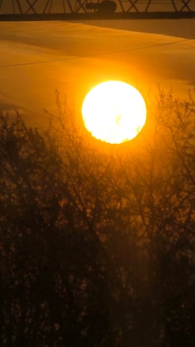 This image depicts a sunrise or sunset scene in Olen, Belgium, characterized by a dominant, bright, circular orange-yellow sun centrally positioned in the upper portion of the frame. The sky around the sun is a gradient of orange and amber hues, transitioning to darker tones at the upper edges, with some faint, wispy cloud formations visible. Silhouetted against the bright sky and sun are the dense, dark branches and minimal foliage of a tree or large shrubbery, occupying the lower two-thirds of the image and partially obscuring the lower segment of the sun. In the far upper background, a dark, angular, metallic structure, consistent with a bridge or overhead gantry, spans horizontally, with an elongated dark object silhouetted beneath it. No individuals or discernible actions are present.