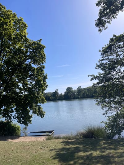 The image depicts a scene at a body of water, likely a lake or pond, in Ashford, United Kingdom. The perspective is from ground level, looking up and slightly to the right. The sky is clear and blue with a few wispy clouds. Trees frame the top and left of the image, their green foliage obscuring portions of the sky. The water's surface appears relatively calm with a light reflection of the sky. A thin line of trees is visible on the opposite shore. A dark-colored object, possibly a boat or canoe, is partially visible along the shoreline on the right. The immediate foreground consists of grassy land.