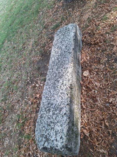 A long, rectangular stone is resting on the ground amidst fallen leaves and grass. The stone is weathered and appears to be made of granite or a similar speckled material, with patches of moss or discoloration. It is positioned at an angle, diagonally across the frame, with its left side closer to the viewer. To the left of the stone, green grass is visible, while the right and bottom of the image are covered in dry, brown leaves. The background shows more of the same leaf-strewn ground and a hint of what appears to be a tree trunk on the far upper left. The overall impression is of an outdoor setting, possibly a park or a natural area, in autumn or winter. The scene is devoid of any human presence or activity. The location is Pieve Saliceto, Italy.