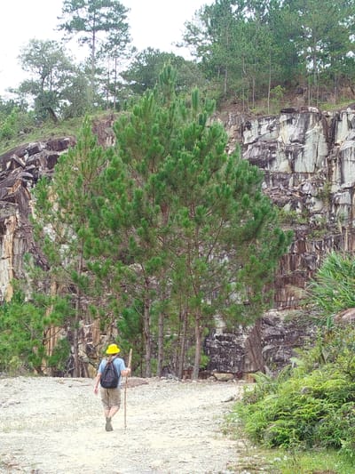 A person wearing a yellow hat, a blue shirt, and khaki shorts walks away from the camera, carrying a backpack and a walking stick. They are on a gravel path in front of a large, rocky cliff face. Pine trees are prominent in the foreground and background, with some green foliage on the right side of the image. The scene appears to be an outdoor natural setting, possibly a quarry or a scenic trail. No specific location in Lán Tranh, Vietnam can be identified from the image alone.