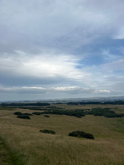 The image shows a wide landscape view from an elevated position, overlooking rolling hills covered in dry, tall grass. Scattered throughout the grassy fields are numerous dark green, dense bushes. In the middle ground, a line of dark green trees forms a treeline, beyond which the landscape continues with more undulating hills. In the far distance, a hazy horizon is visible with faint outlines of hills under a cloudy sky. The sky is a mix of light blue and white clouds, with some darker, heavier clouds lower in the sky. The scene depicts a rural, natural environment. The location is identified as Penicuik, United Kingdom. There are no people or man-made structures immediately visible in the foreground or middle ground, suggesting a natural park or countryside setting.