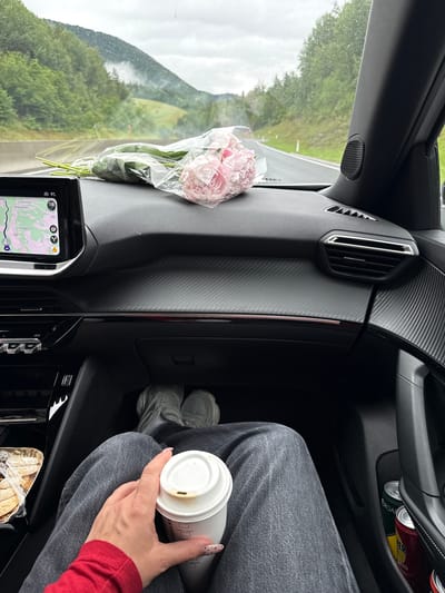 The image shows the interior of a car looking forward through the windshield. A bouquet of pink peonies lies on the dashboard, partially covered in plastic wrap. To the left, a navigation screen displays a map with the location "Gloggnitz, Austria" visible. The dashboard features carbon fiber accents and a central air vent. In the foreground, a person's hand holds a white coffee cup with the Starbucks logo. The person's legs, clad in dark jeans, are visible, and gray sneakers are on their feet. A tray of cookies is on the left side of the car. Two cans are in the cup holder on the right. Outside, a scenic landscape with green hills and trees is visible under a cloudy sky.