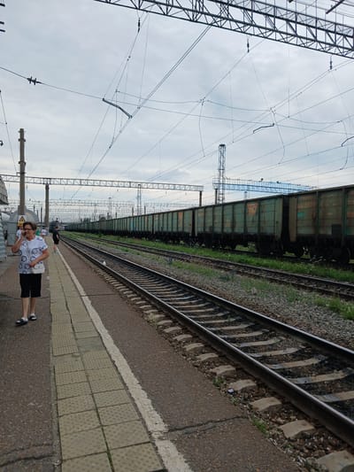 A woman with glasses and short, dark hair, wearing a white shirt with a circular pattern and black shorts, stands on a train platform. She is holding a white object to her ear, possibly a phone, and appears to be in conversation. To her right, the platform edge is marked by a white line and tactile paving. Beyond the platform, train tracks run parallel to a long line of green, open-top freight cars. The freight cars have visible numbers and markings. The scene is set against a cloudy sky, with a complex network of overhead wires and metal support structures for the railway electrification system visible above. In the background, more train tracks and green foliage are present. The overall setting is a train station.