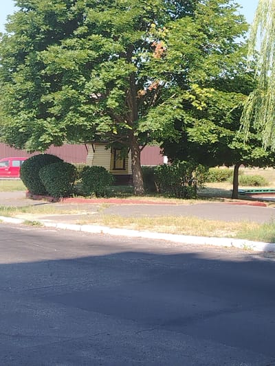The image depicts a scene in Mazyr, Belarus. In the foreground, a paved road with some cracks and a light-colored curb is visible, with a shadow cast across it. Beyond the road, a grassy area with some dry patches and sparse vegetation lines the curb. Further back, there are manicured bushes, one round and bushy, and another slightly smaller. Behind the bushes, a small, light-colored building with a yellow trim and a window is nestled under the shade of a large, leafy green tree. To the left of the building and tree, a red car is parked. The background features a reddish-brown corrugated metal structure. To the right of the central tree, a weeping willow tree with long, drooping branches adds to the scene, and further to the right, a hint of a green bench is visible. The sky is a clear blue.