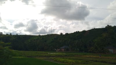The image depicts a pastoral scene with a prominent hill covered in dense green vegetation, including a variety of trees. At the summit of the hill, a tall, slender communications tower stands out against the cloudy sky. In the foreground, a rice paddy stretches across the landscape, with some sections appearing freshly cultivated and others showing yellowing stalks. The sky is dramatic, filled with heavy, grey clouds with patches of bright white light breaking through, suggesting an overcast day with potential for rain.

On the lower slopes of the hill, nestled amongst the trees, are two buildings. The larger building is a house with a dark, sloped roof and brick walls. A smaller building is partially visible next to it. In the middle ground of the rice paddy, a lone figure, appearing to be a person, is walking. The overall impression is of a rural setting, possibly on the outskirts of a town or village, with elements of both natural landscape and human habitation. The reference to Uleejalan, Indonesia, situates the scene within a specific geographical context, likely one characterized by such hilly terrain and agricultural practices.