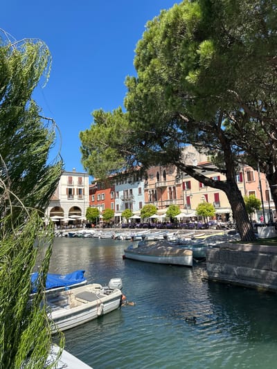 The image depicts a sunny day in the harbor of Desenzano del Garda, Italy. The foreground features the clear blue water of the harbor, with several small boats docked. One boat in the foreground is white with a blue cover. Another boat, also white, has a dark grey seat and a Honda outboard motor. Two ducks are swimming in the water near this boat.

Behind the boats, a row of colorful buildings lines the waterfront. These buildings exhibit a variety of architectural styles, with pastel colors dominating, including cream, light orange, red, and pale blue. Many of the buildings have multiple stories, with arched windows and balconies. Restaurants and cafes with white umbrellas and outdoor seating are visible along the promenade in front of the buildings, with people seated at tables.

Lush green trees frame the scene, with a large pine tree on the right and a weeping willow tree partially obscuring the left side of the image. The sky is a clear, bright blue, indicating fair weather. The overall impression is a vibrant and picturesque waterfront scene in a European town.
