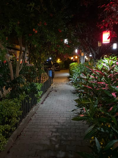 The image depicts a paved walkway at night, bordered by lush greenery and trees adorned with decorative lanterns. On the left side of the walkway, there is a low wooden fence separating the path from dense shrubbery and the side of a building. The building's facade is partially visible, with what appears to be graffiti or a mural. Further along the walkway, two dark-colored vehicles are parked.
The right side of the walkway is lined with vibrant plants, some featuring reddish-pink foliage. Hanging from the branches of the trees are various lanterns, including a prominent red one that is illuminated, casting a warm glow. Other lanterns of different colors, like white and yellow, are also visible, suggesting an outdoor seating area or a decorative walkway. The ground of the walkway is made of interlocking brick pavers, with some fallen leaves scattered across it. The overall ambiance is that of an outdoor space, possibly a restaurant or a garden area, illuminated by artificial light sources.
This scene is located in the city of Bakırköy, Turkey, specifically in the area near the coastline, characterized by its blend of urban elements and green spaces.