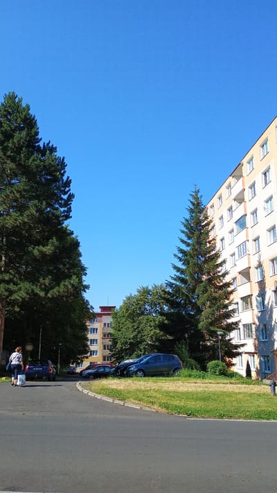 A vertical, eye-level shot shows a sunny residential street in Sokolov, Czechia. In the foreground, a grey asphalt road curves to the left. On the right side of the road, a strip of dry, yellow-green grass borders the sidewalk, with a fire hydrant visible near the bottom right corner. Behind the grass, a multi-story apartment building with cream-colored walls and white balconies stretches up the right side of the frame. A tall, slender evergreen tree stands in front of the building, casting a shadow.
On the left side of the road, a person with dark hair, wearing a light-colored patterned top and dark pants, walks away from the camera carrying a blue bag and a white shopping bag. To the left of the person, a dark blue car is parked on the side of the road. Beyond the parked car, a very large, dense evergreen tree dominates the left side of the image, its branches reaching towards the bright blue sky.
In the background, another apartment building with a red roof and multiple windows is visible between the trees. Several other cars are parked on the street and in the background. The sky is a clear, vibrant blue with a few distant, small, dark specks, possibly birds or insects.