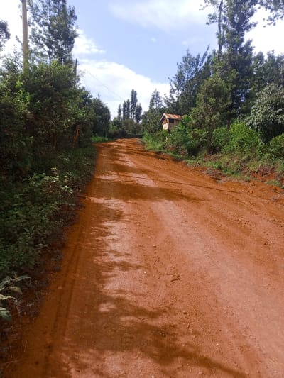 A dirt road, red in color, stretches into the distance, framed by green vegetation on both sides. Trees of varying heights line the road, creating a natural tunnel. A small structure with a rusty roof sits slightly elevated amidst the greenery on the right. The sky is blue with scattered clouds. Power lines are visible above the road. The road surface shows signs of wear, with visible tracks and uneven terrain.