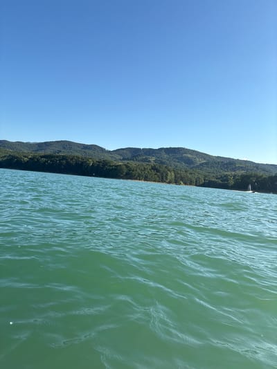 The image depicts a wide view of a lake with turquoise-green water, likely the Zhelyazna Reservoir in Golyama Zhelyazna, Bulgaria, under a clear, bright blue sky. The foreground is dominated by the rippling surface of the water. In the midground, a dense, dark green forest covers the undulating hills that form the far bank of the lake. The hills rise in the background, their slopes covered in trees. On the right side of the image, a white object, possibly a boat or sail, is visible in the distance on the water. Further to the right, a dark object, possibly a jet ski, is creating a spray of water. The overall scene is a natural landscape on a sunny day.