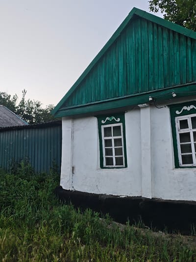 This image depicts the side of a white-plastered house with a green wooden-shingled gable roof. Two windows with white, multi-paned glass and decorative green trim are visible on the house's facade. Below the windows, the house has a dark, possibly black, foundation. To the left of the house, a dark green metal fence runs horizontally, with what appears to be a corrugated metal roof structure behind it. Lush green grass and foliage grow densely in front of the fence and up to the base of the house. The sky in the background is a pale, hazy blue, suggesting it may be overcast or early morning/late evening. Two small white fixtures, possibly lights or electrical insulators, are mounted on a green trim piece above the windows. There is no visible text in the image. The overall scene conveys a rural or village setting. The time of day appears to be either dawn or dusk due to the sky's color and soft light.