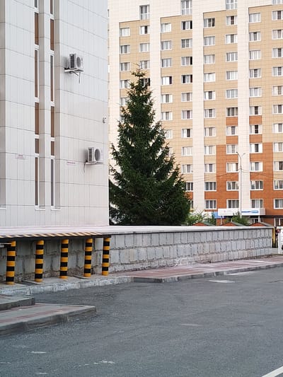 The image depicts a modern urban scene in Kurgan, Russia, focusing on the exterior of a multi-story building. The building on the left is clad in white tiles with vertical brown accents around its windows, and features two visible outdoor air conditioning units mounted on its facade. In the mid-ground, a tall, mature evergreen tree stands prominently, its dense foliage contrasting with the surrounding architecture. Behind the tree, a much larger, ten-story residential building dominates the background. This building is characterized by its beige and orange-brown facade, punctuated by numerous identical rectangular windows. A low, textured concrete wall runs horizontally across the middle ground, separating the foreground pavement from the buildings and tree. The foreground consists of an asphalt surface and a raised concrete curb with a red and gray tiled border. The overall impression is one of a well-maintained urban residential area.