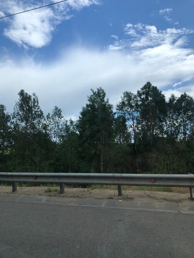 The image shows a roadside scene with a clear blue sky filled with fluffy white clouds overhead. A line of tall, dark green trees stands behind a silver guardrail. The guardrail is supported by metal posts and appears to be made of corrugated metal. The road surface in the foreground is asphalt, with a concrete curb and a sandy shoulder separating it from the guardrail. The environment suggests a rural or suburban setting, possibly along a highway or a main road. There are no people or animals visible in the image. The lighting indicates it is daytime, likely late morning or early afternoon, with the sun casting a gentle light on the scene. The overall impression is one of a peaceful, natural landscape adjacent to a transportation route.