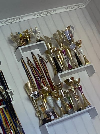 The image displays a collection of trophies and medals arranged on white shelves mounted on a light-striped wall. The trophies are predominantly gold and silver, with some featuring colorful embellishments. The medals have various colored ribbons, including red, yellow, blue, and purple. The scene appears to be an indoor setting, likely a home or a display area, possibly in Volochysk, Ukraine, given the provided location context. There are no people visible in the image. The overall impression is one of achievement and recognition.