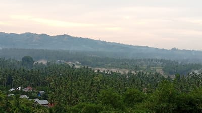 This image depicts a hazy, distant view of a lush, tropical landscape, characterized by a dense canopy of palm trees that stretches across rolling hills. In the foreground, a cluster of houses with red and gray roofs is visible, nestled among the trees. In the midground, a clearing reveals more scattered dwellings and a light-colored, dry riverbed or open area. The background is dominated by a series of mist-shrouded mountains and hills, fading into the pale, overcast sky. The overall impression is one of a remote, rural settlement in a verdant environment, likely in the city of Buketmulia, Indonesia, given the presence of palm trees and the mountainous terrain often found in that region.