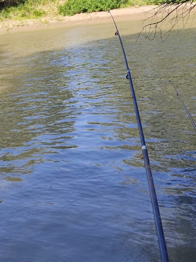 A fishing rod is angled over a body of water near the bank of a river in Țiganca, Moldova. The water is choppy and reflects the blue sky. The bank is lined with green vegetation. The fishing rod is dark and has several eyelets. Another fishing rod is visible in the background.