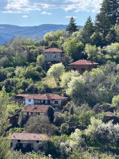 The image shows a hillside view of Tsarvishte, Bulgaria. Several buildings with red tile roofs are nestled among trees and greenery. The buildings appear aged and in various states of disrepair. In the background, a mountain range is visible against a partly cloudy sky. The perspective suggests the photo was taken from a slightly elevated position.