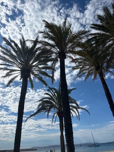 This is a low-angle, close-up shot of several palm trees against a bright blue sky filled with scattered white clouds. The palm trees are silhouetted against the sky, obscuring much of their detail. In the distance, a body of water is visible, likely the Mediterranean Sea, with several sailboats anchored. The shoreline appears to be a beach, with a stone jetty extending into the water. Small figures of people can be seen on the beach and in the water, and a red and yellow flag is visible on the jetty. The overall impression is a sunny day at a beach resort in Le Lavandou, France, with the palm trees framing the sky and sea.