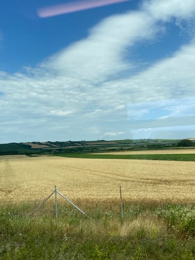 The image depicts a rural landscape, likely in Serbia, under a bright, cloudy sky. The scene is divided vertically, with the left half dominated by a bright blue sky filled with fluffy white clouds, reflecting off an unseen surface. The right half of the image shows agricultural fields. In the foreground on the right, there's a field of dry, golden crops, possibly wheat or barley, showing rows from harvesting. Adjacent to this field is a strip of green grass and wildflowers, and a metal irrigation system or agricultural equipment. Further in the distance, more fields in various shades of green and gold are visible, interspersed with trees and hedgerows, suggesting a patchwork of cultivated land. The overall impression is of a sunny day in a rural, agricultural area, possibly during late summer harvest season. There is no visible text in the image.