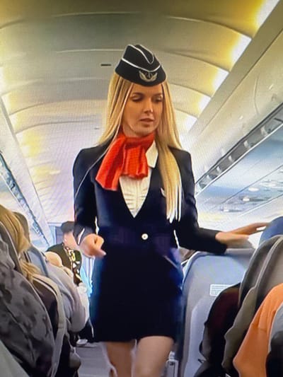 The image depicts a flight attendant inside an airplane cabin. She is wearing a navy blue uniform with a white blouse and a red scarf. Her hair is blonde and she has blonde bangs. The setting is an airplane aisle, with rows of seats visible in the background. The lighting suggests it could be daytime, as natural light seems to be entering the cabin. The flight attendant appears to be interacting with someone, as her right hand is raised, and her left hand is resting on her hip. The image is oriented vertically, which may be due to the camera angle or a specific aspect of the event being captured. The overall mood is professional and perhaps a bit informal, given the pose. There is no visible text in the image.