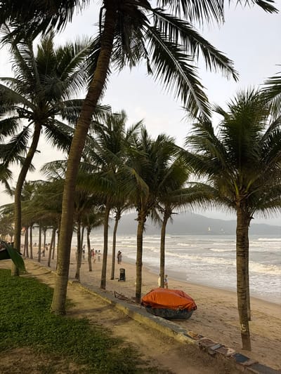 The image presents a panoramic view of a sandy beach in An Hải Ward, Vietnam. A line of numerous tall palm trees with green fronds runs parallel to the coastline, dominating the foreground and midground. To the left, a strip of green ground cover or low vegetation separates a sandy path from the main beach area. A low concrete or stone barrier is visible between the green area and the sand.

On the sandy beach, numerous individuals, estimated between 20 to 30 people, are dispersed, appearing to walk or stand in small groups. Their features are not distinctly visible due to distance. In the midground, towards the right, a dark, circular basket boat (thúng chai) is resting on the sand, partially covered by a bright orange tarpaulin. Further along the beach, a dark-colored, two-wheeled cart-like object is visible near a group of people.

The ocean, characterized by white-capped waves breaking on the shore, occupies the right side of the image. In the distant background, a mountainous coastline is visible across the water, with a prominent light-colored structure, possibly a monument or large building, situated on a distant hill. The sky appears overcast or hazy, casting soft, diffused light across the scene.