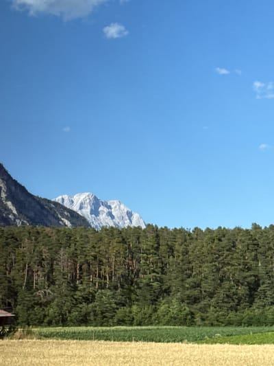 The image captures a scenic landscape under a clear blue sky with sparse white clouds. In the foreground, a field of golden crops, likely wheat or barley, extends across the lower portion of the frame. Behind this field, a dense forest of green coniferous trees forms a thick band across the midground. Peeking above the trees, rugged, snow-capped mountains dominate the background. The leftmost mountain range is dark and rocky, while the central and right mountains are lighter and appear to be composed of stone and snow. A small, dark-roofed structure, possibly a shed or part of a building, is partially visible on the far left edge of the image, near the forest line. The scene suggests a rural or mountainous region, consistent with the location of Haimingerberg, Austria, known for its natural beauty and alpine environment. There are no people or animals visible in the image.