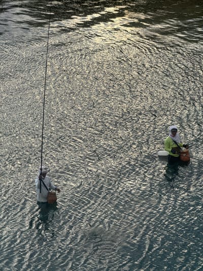 In Upt Tambak Sari, Indonesia, two individuals are engaged in fishing in a body of water. The person on the left stands in the water, holding a fishing rod that extends upwards. They are wearing a white head covering and a white garment, with a basket slung over their shoulder. The person on the right also stands in the water, holding a fishing rod. They are dressed in a lime green long-sleeved shirt and a white head covering, with a bag and a white container near them. The water surface is rippled, reflecting the sunlight and creating a textured appearance. The scene appears to be captured from an elevated perspective, looking down at the individuals and the water.