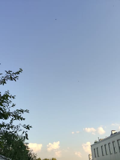 A medium shot captures a clear blue sky on what appears to be a summer day. The lower portion of the frame is dominated by the top of a white building with multiple windows and a chimney. To the left, a dark green tree with sparse leaves extends from the bottom corner upwards and to the right. Several small, distant birds can be seen in the sky. The light suggests it is late afternoon or early evening. The scene is peaceful, with no human presence or discernible activity other than the birds in flight.