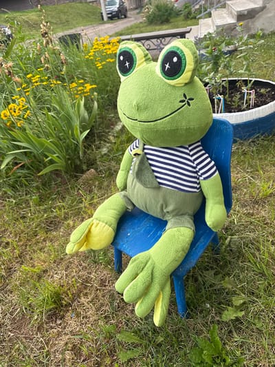 A plush frog toy lies on its back on a bright blue object that appears to be a child's wheelbarrow or wagon. The frog is predominantly green with yellow accents on its hands and feet, and it wears a striped shirt with navy blue and white stripes. The frog has large, expressive eyes with black and green irises and a simple black stitch marking resembling a smile.
The toy is situated on grass, with some yellow wildflowers blooming in the foreground and to the left. In the background, there are hints of a building with concrete steps and a white structure that could be a planter or garden bed. The scene is outdoors, likely in a garden or yard, and the lighting suggests it is daytime with fair weather. No text is visible in the image. The overall impression is of a playful or whimsical scene, perhaps a toy left out to be enjoyed in the garden. The context of Boksitogorsk, Russia, provides a geographical setting for this outdoor scene.