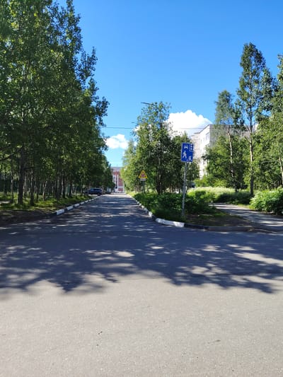 The image depicts a street scene in the city of Olenegorsk, Russia, on a clear, sunny day. The street is paved and lined with trees on both sides, casting shadows on the road. In the foreground, the asphalt surface is visible, with shadows of tree branches creating a dappled pattern.
The street appears to be a residential or neighborhood road, with buildings visible in the background, suggesting an urban or semi-urban environment. One building in the background is a multi-story structure, possibly an apartment complex. The sky is a bright blue with a few white clouds.
Several traffic signs are present. One sign, a blue square with white symbols, indicates a pedestrian crossing with cars. Another sign, a yellow triangle with a black border and an image of children crossing, warns of a pedestrian crossing ahead.
Parked cars are visible on the side of the road, and a few people are seen walking, though they are small in the frame and not the central focus. The vegetation along the street is lush and green, indicating a temperate season, likely summer. The overall impression is one of a quiet, ordinary day in a Russian city.