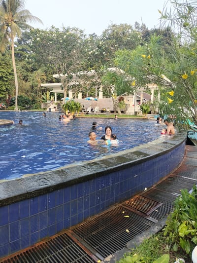 The image captures an outdoor swimming pool scene in Gunung Putri, Indonesia. The pool, irregularly shaped and tiled with dark blue square tiles, is occupied by approximately 15-20 individuals of various ages, primarily adults and children.
In the immediate foreground of the pool, a woman with dark hair, wearing a black swim top, is smiling while holding a small child wearing a yellow inflatable arm ring. To their left, a young boy is partially visible in the water. To the right of the woman, a man holds another small child in a red inflatable swim ring. Further to the right, a man with a dark swim cap or goggles positioned on his forehead smiles towards the camera. Throughout the midground of the pool, other adults and children are swimming, standing, and interacting, with some individuals wearing swim goggles. A man with a visible smile is located in the mid-right section of the pool.
The pool's edge features a dark, wet coping stone, below which the blue tiles are visible. A rusty metal drainage grate system runs along the base of the pool wall in the foreground, containing some small yellow debris and leaves.
The surrounding environment is characterized by lush tropical vegetation. Tall palm trees are prominent on the left side of the image. Numerous trees with white blossoms, consistent with Frangipani (Plumeria), are visible in the background. A tree with yellow, bell-shaped flowers and slender green leaves is positioned in the right foreground, partially obscuring the background.
Several white or light-colored buildings with distinct architecture, including open pavilions and multiple levels, are situated behind the pool amidst the dense foliage. On the pool deck to the right, several white lounge chairs are visible under blue and white striped umbrellas. On the left side of the pool, a multi-tiered concrete structure with stairs leads up to a higher ground level where tables and chairs are positioned under trees. The overall lighting suggests an outdoor daytime setting, possibly late afternoon, with soft, diffused light.
