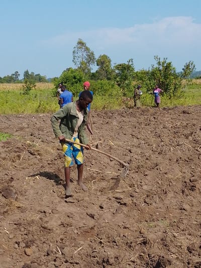 In a sunlit field, a young man wearing a green jacket and patterned shorts is using a hoe to till the soil. He is barefoot. In the background, several people stand near a grassy edge and trees. The plowed field is brown and textured. The sky is blue with some clouds. The scene depicts agricultural labor in a rural setting.