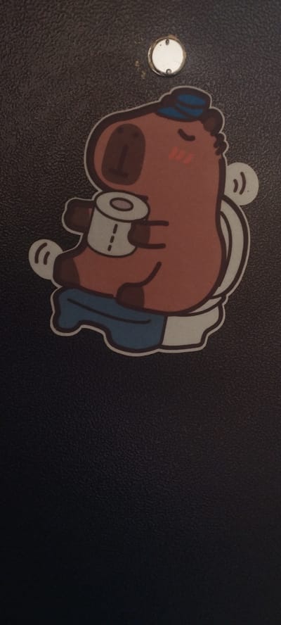 This is a close-up, eye-level, vertical shot of a sticker on a dark, textured surface. The sticker depicts a cartoon capybara wearing a blue baseball cap, sitting on a toilet seat and holding a roll of toilet paper. The capybara has its eyes closed and rosy cheeks, giving it a relaxed or content expression. The background is a plain dark brown, with a small, circular, shiny object visible in the upper right quadrant, likely a fastener or attachment point. The overall composition is centered on the sticker, with the dark background dominating the lower portion of the image. There is no discernible information in the image to indicate a specific location in the city of Покосное, Russia.
