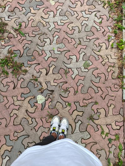 The media file shows a person's feet, wearing white sneakers with black and yellow accents, standing on a pathway paved with irregularly shaped interlocking concrete tiles. The tiles are in three colors: light pink, light grey, and beige, and they are arranged in a tessellating pattern resembling stylized lizard or salamander shapes. Small patches of green grass and dry leaves are interspersed between the tiles. The pathway appears to be outdoors, likely in a park or urban area, as suggested by the greenery on the sides and the concrete edge. The lighting is even, suggesting it is daytime, and the ground appears slightly damp, possibly from recent rain or dew. The perspective is from above, looking down at the person's feet and the intricate paving pattern. There is no discernible activity taking place other than standing. The sneakers have visible branding with the letters "DC" in yellow on a black background. The overall impression is a casual, everyday scene, focusing on the unique ground surface.