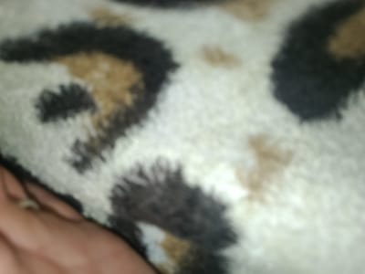 The image is a close-up, blurry photograph of a furry textile with a leopard print pattern. The pattern consists of irregular dark brown or black splotches on a creamy white background, with some lighter brown patches mixed in. A portion of a human hand and forearm, with visible skin tone and a fingernail, is in the lower left corner of the image, appearing to be touching or resting on the textile. The lighting is soft and diffused. The background is entirely composed of the leopard print textile. There is no discernible location within a city or specific environment visible.