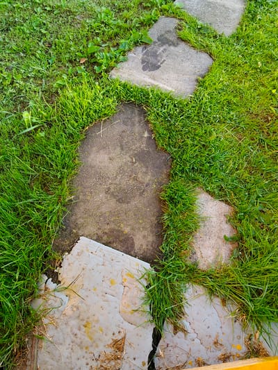The image shows a close-up, overhead view of a garden path with stepping stones and surrounding grass. The stepping stones are irregular in shape and appear to be made of concrete or a similar material, with some showing wear and tear. The grass is green and lush, growing in between and around the stones. There are some dried leaves and debris scattered on the ground. In the lower left of the image, there is a piece of damaged, light-colored material, possibly a broken plastic or composite sheet, with yellow stains and cracks. The scene is likely outdoors in a residential or natural setting. The image does not contain any people or animals.